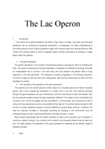 lac operon 영문 에세이