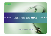 대전 힐링 MICE 아이디어 발표자료