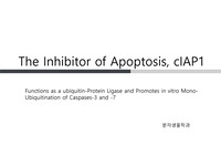 The Inhibitor of Apoptosis, cIAP1