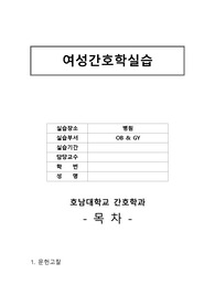 여성간호 부인과CASE 자궁탈수 A받은 자료