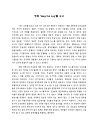 wag the dog 감상문