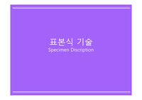 표본식 기술 발표 PPT - 아동관찰 및 행동연구