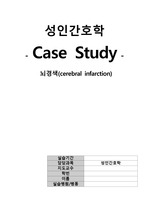 성인간호학 뇌경색 케이스 A+케이스