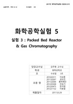Packed Bed Reactor & Gas Chromotograhy 결과보고서