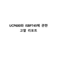 UCP600와 ISBP745에 관한 고찰 리포트