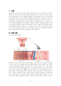 전대 모성 자궁내막암