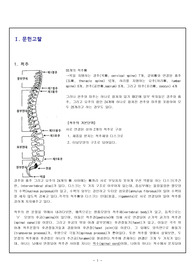 성인케이스(Fracture T5,6)