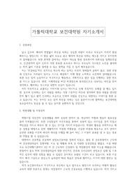 가톨릭대학교 보건대학원 자기소개서