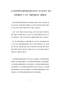 소니인터랙티브엔터테인먼트코리아 자기소개서 작성 성공패턴과 1~2차 기출면접문제 시험문제