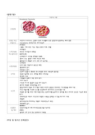 A+받은 과제물/Mycoplasma Pneumonia/폐렴/방문간호/사례보고/케이스스터디/지역사회간호학/성인간호학/모성간호학/아동간호학/여성간호학