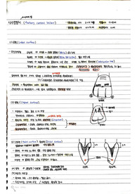 치아형태학 그림요약본(상.하악 중절치,측절치,제1.2소구치)