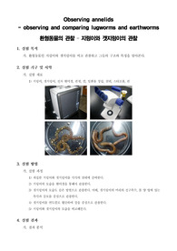 [일반생물학실험] Observing annelids - observing and comparing lugworms and earthworms