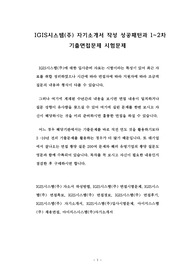 IGIS시스템(주) 자기소개서 작성 성공패턴과 1~2차 기출면접문제 시험문제