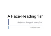 A Face-Reading fish 31302