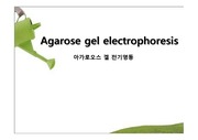 Agarose gel electrophoresis (아가로오스 겔 전기영동)