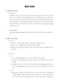 [미생물학실험]세균의 단염색