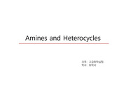 Amines and Heterocycles ppt  발표