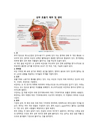 A+++++상부호흡기계 해부 및 생리, 기관절개 방법, 기관절개관 종류