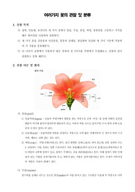 [일반생물학실험]여러가지 꽃의 관찰 및 분류