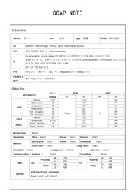물리치료 soap노트,soap note