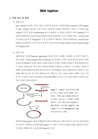 [분자유전학실험]DNA ligation
