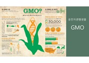 GMO의 장점과 연구성과