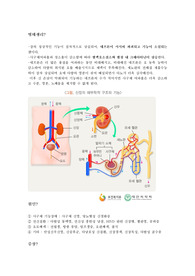 성인간호학실습, 만성신부전, 성인간호케이스, 성인케이스, 케이스스터디, 간호과정, 간호진단, A++, 진단검사