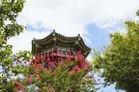 단독사진 배경 한옥 26