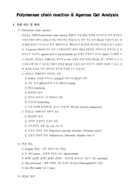 [식물분자생물학 연습]Polymerase chain reaction  Agarose Gel Analysis