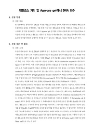 [분자생물학실험]제한효소 처리 및 Agarose gel에서 DNA 회수
