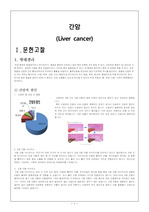 [성인간호학]간암 case study, Liver cancer