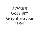 [성인간호학]뇌경색 Cerebral Infarction, CASESTUDY