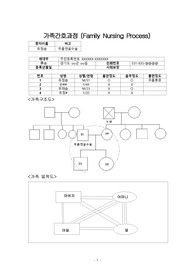 지역사회간호과정