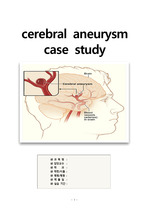 cerebral aneurysm 케이스