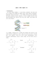 아주대학교 A+생명과학실험(생과실) 11과 DNA전기영동