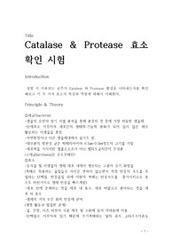 미생물실험 Catalase&amp;Protease효소확인시험 예비리포트