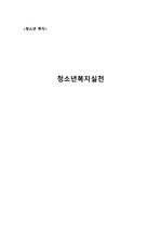 청소년복지실천 중 하나를 선택하여 간단히 요약기술하고 실제적인 적용사례를 들은 후 문제점과 개선방안에 대해 논하세요.