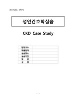 신장내과/CKD(만성신부전)/표지포함/CKD에 대한 고찰포함 / CKD에 대한 Casestudy
