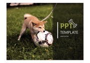 강아지 PPT템플릿 / 애완동물 PPT / 깔끔한 동물 PPT템플릿 / 애완견PPT템플릿
