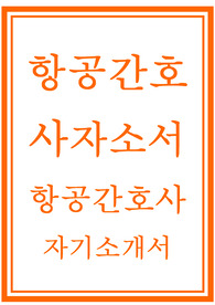 항공간호사자소서