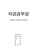 여성간호학(OBGY)-자궁경부암(uterine cervical cancer)