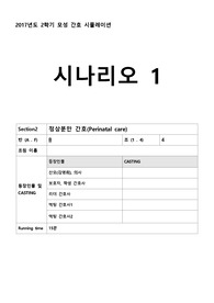 모성 자연분만 시나리오