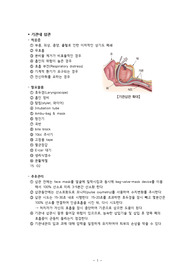 성인간호학 자가학습보고서입니다! (기관내삽관, 기관절개술, 인공호흡기, 욕창)