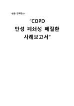 COPD 간호과정(문헌고찰없음)