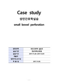 성인 41병동  소장천공(교수님)