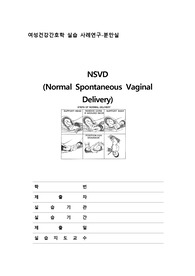 정상분만 NSVD - case study (정보, 문헌고찰, 사정, 검사, 약물, 간호진단 5개: 계획, 수행, 평가 포함)