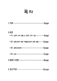 &lt;유전자변형생명체(GMO)&gt; REPORT
