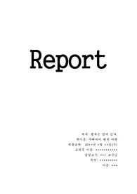 꾸뻬씨의 행복여행 독후감(A+++자료)