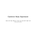 cantilever beam experiment(외팔보 실험)