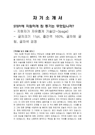 과학기술정책연구원 청년인턴 채용 자소서